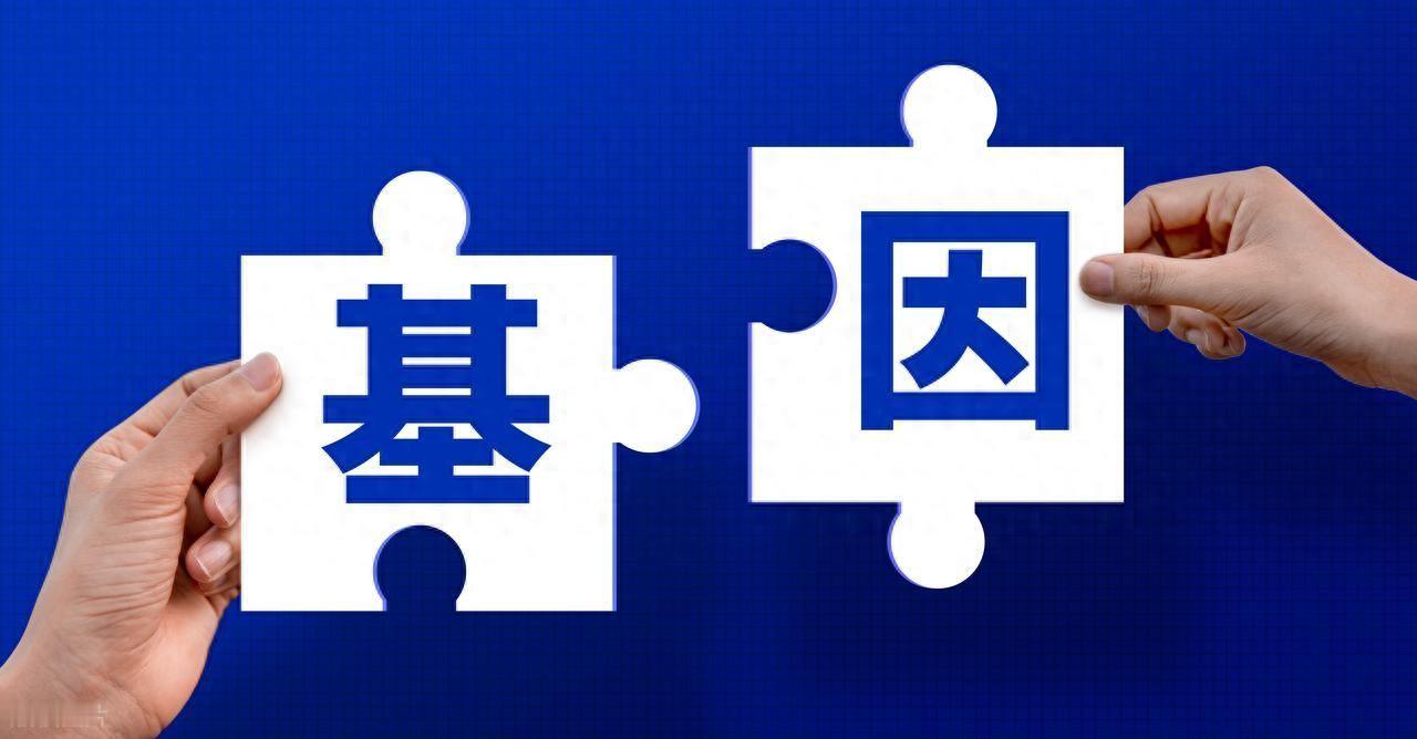 "这妻子不地道啊！"7月8日报道，上海，一男子结婚才8个多月，妻子就生