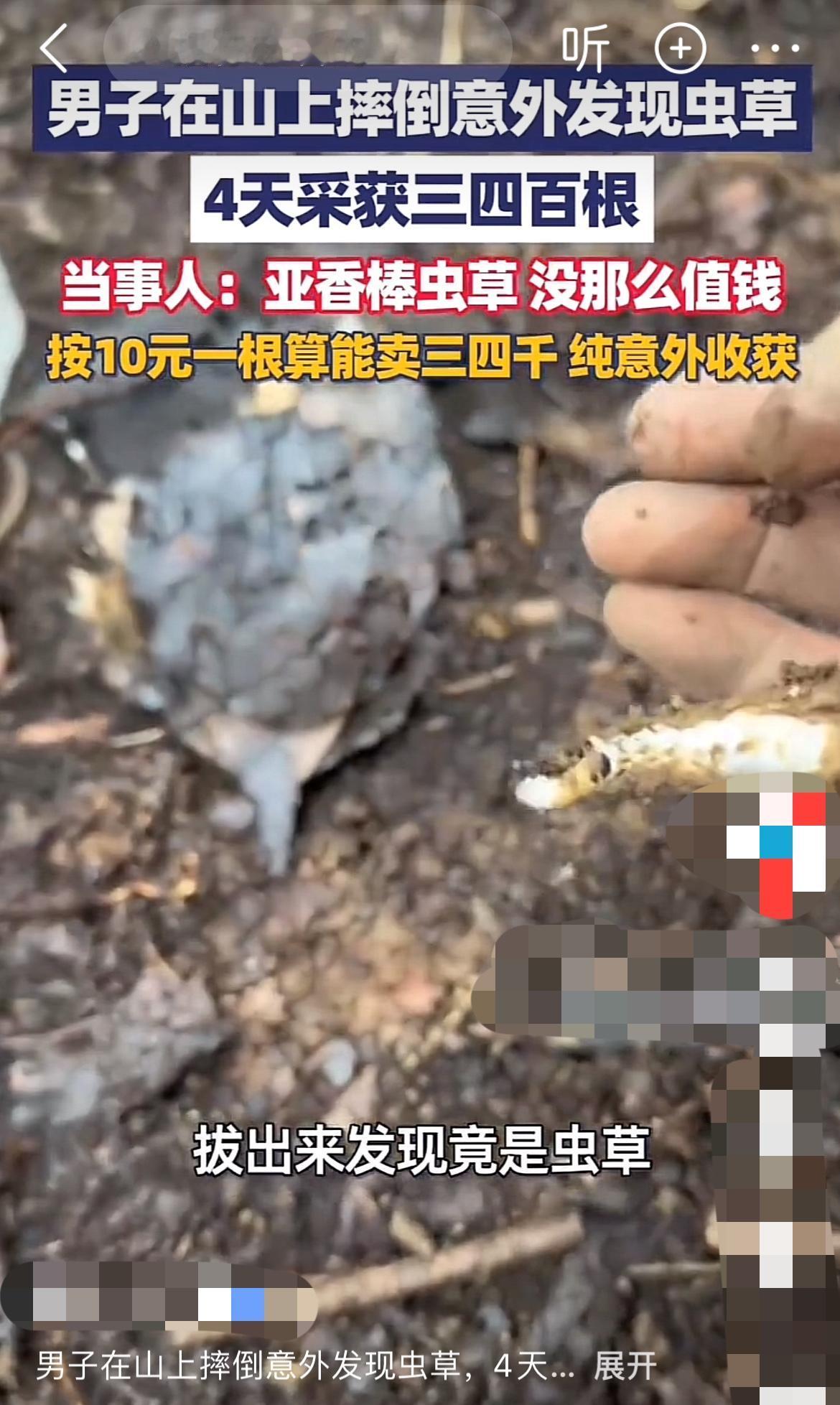 他以为挖到“天价软黄金”狂喜4天！结果竟是“山寨货”还带毒？