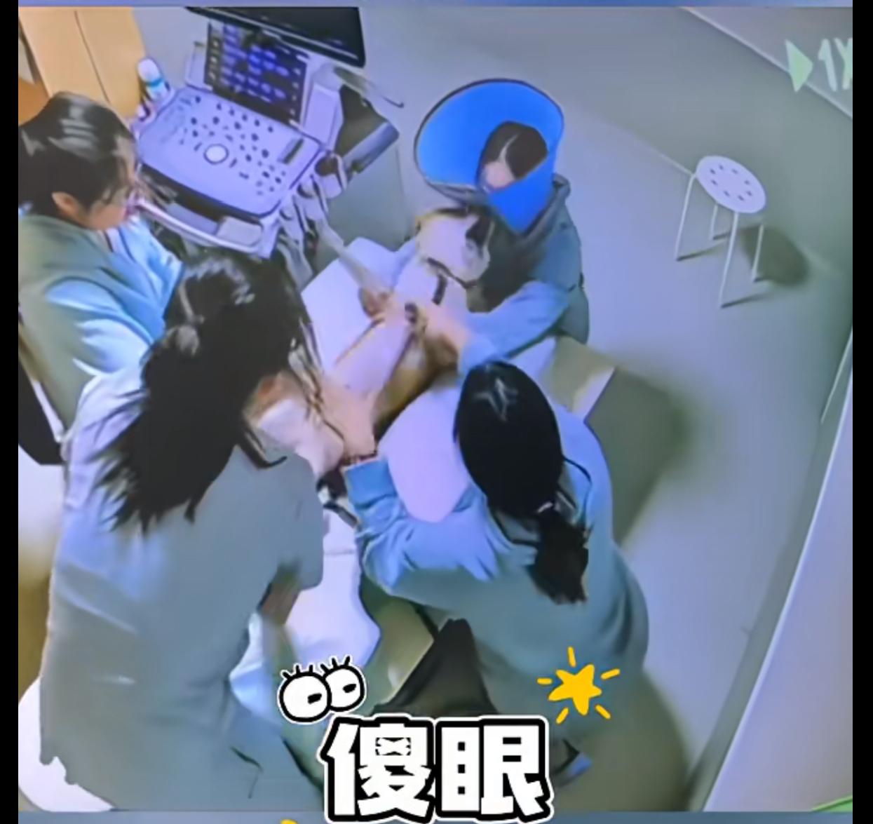 “真是人才”，宠物狗看病按不住，戴不上防咬项圈，兽医小助理情急之下直接戴在了自己