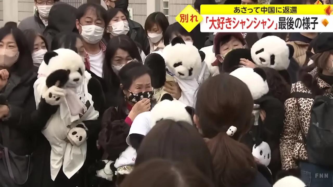 日本一只都没有！中国大熊猫飞抵美国，韩国媒体又扎了日本一刀。今年1月27号，