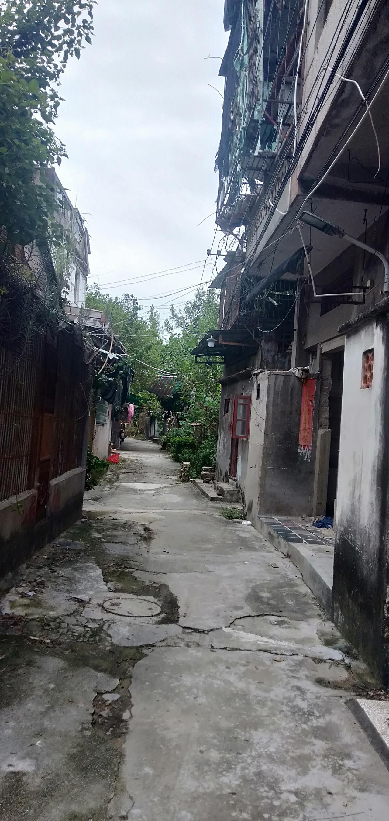 人迹罕见的汕头乌桥岛