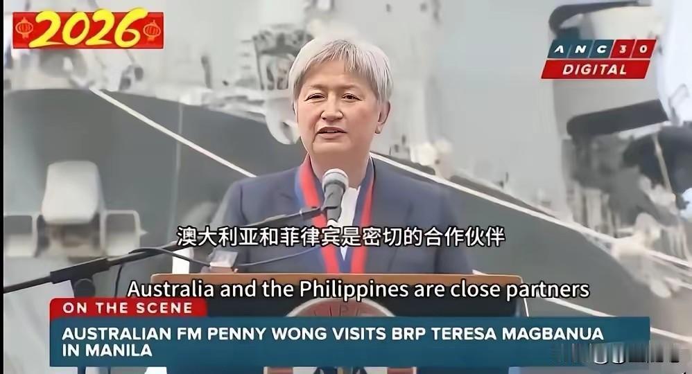 我可以肯定的说，澳大利亚从上到下，反对中国的只是少数。澳大利亚这个华裔外长，