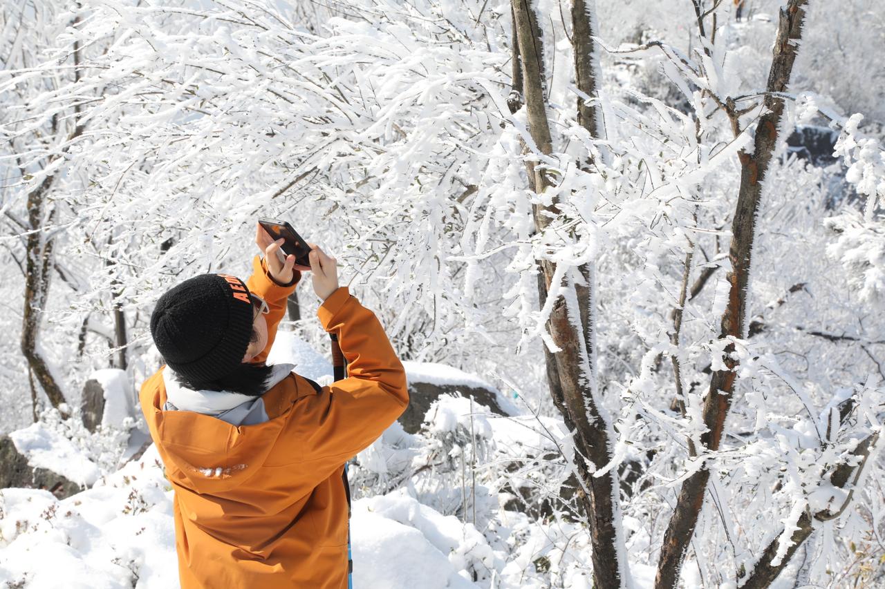 江浙沪想看雪，得"碰运气"。但这几年寒潮越来越给力，山区降雪概率蹭蹭往上涨。
