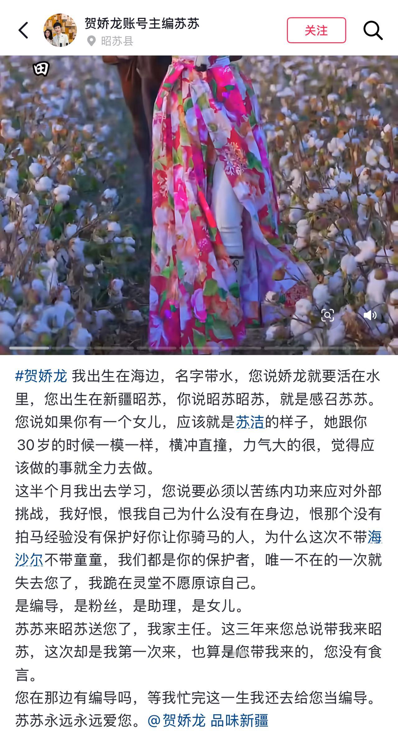 贺娇龙就这样走了，身边的人都在自责。原来这次贺娇龙在博乐市拍视频，身边并没有