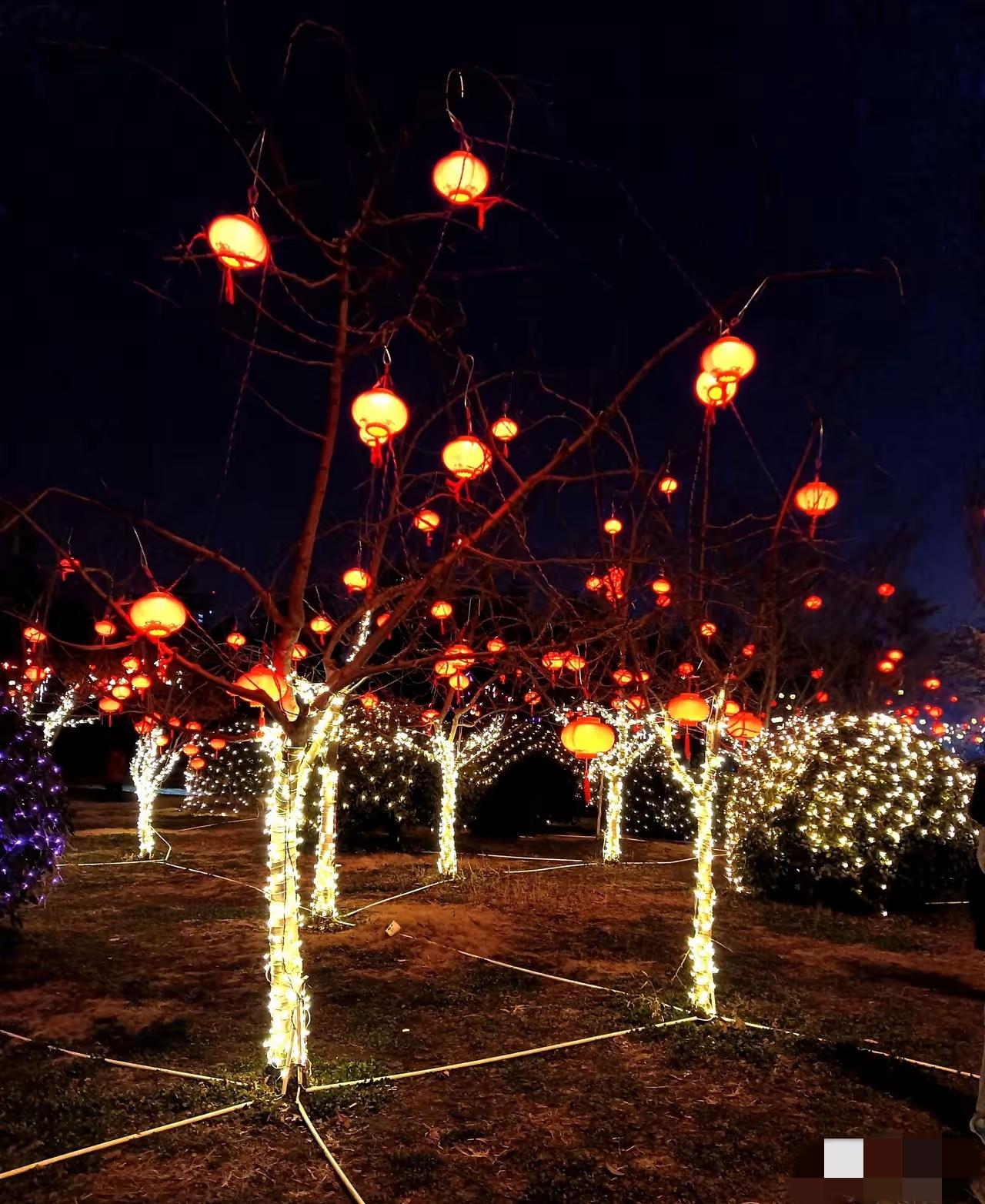 没这个本事，真的别轻易结婚！一位父亲的话太清醒了：男女如果扛不起家，最好别