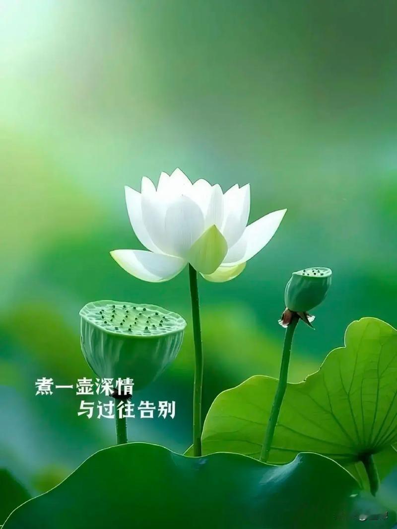 一位从教20年的班主任含泪忠告：学校再安全，也有三个地方是绝对不能去的。不管是谁