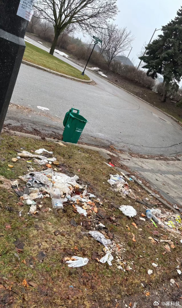 一位加拿大博主称，他的邻居把房子租给一户印度人，之后陆陆续续来了很多人进来，然后