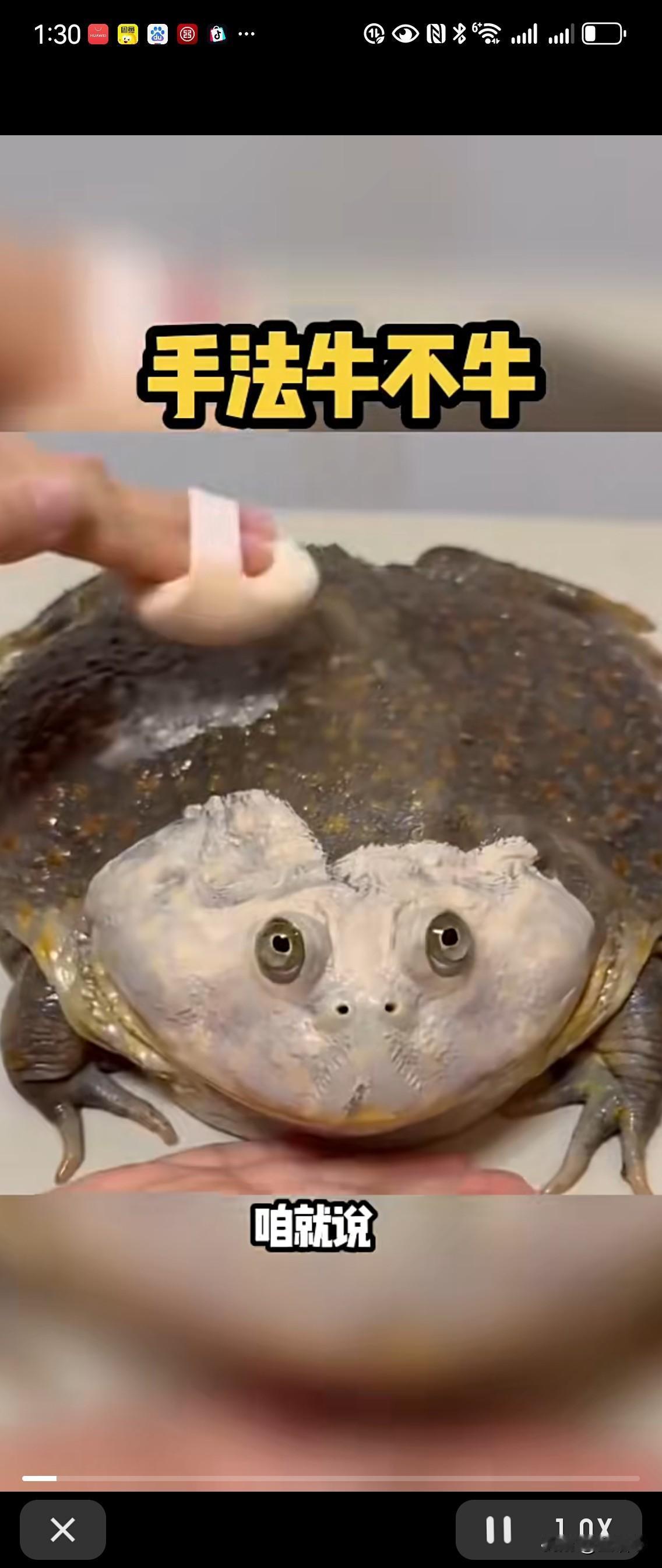 我们用一只癞蛤蟆来展示一下：为什么女人一定要化妆？而且女人化妆一定要画眼线？