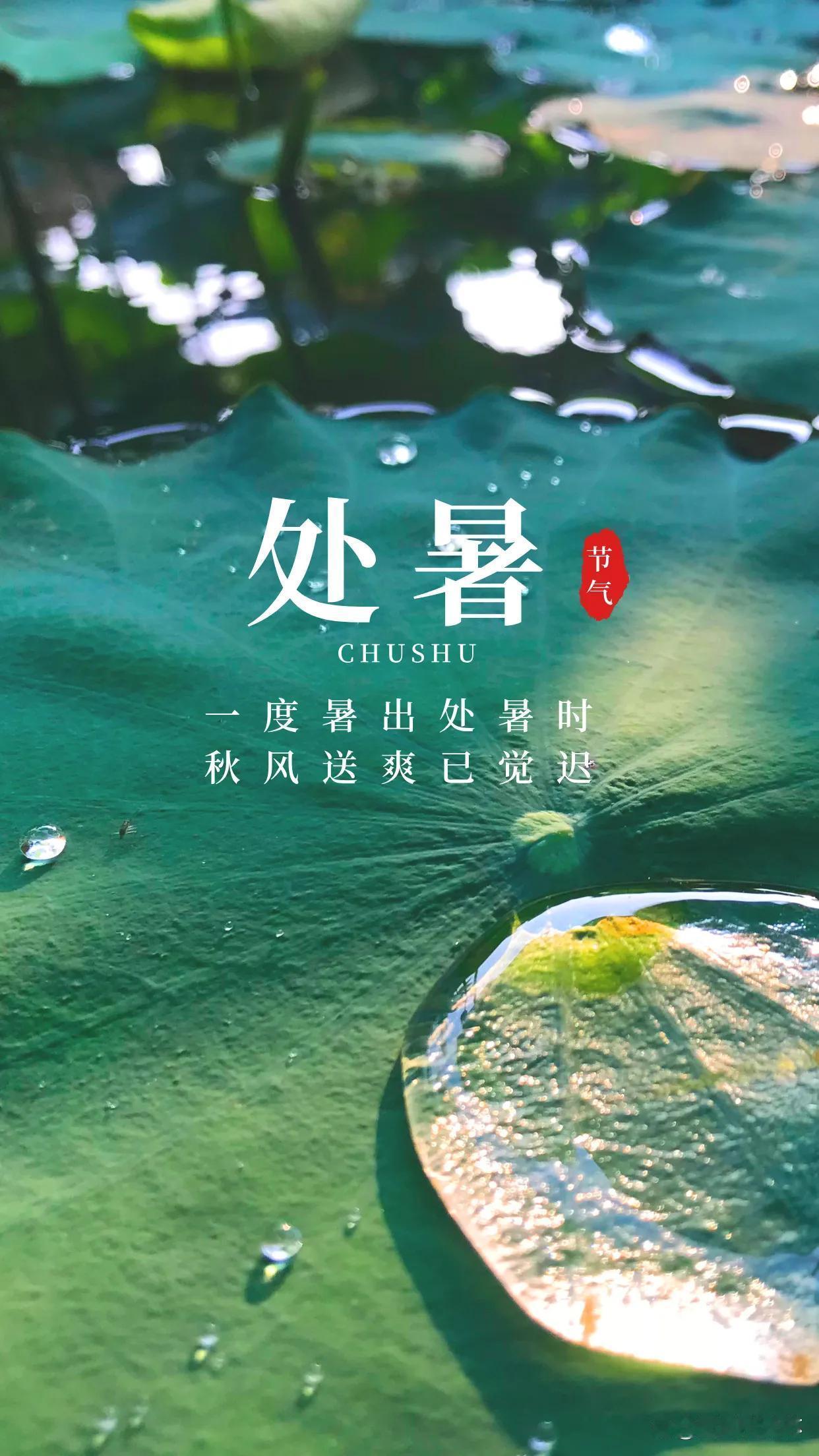 处暑是否意味着秋天才刚刚开始？先说结论，处暑不是入秋！秋天才刚刚拉开序幕