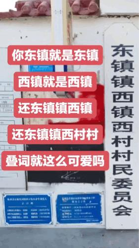 “东镇”镇，“西镇西”村，村民委员会[笑着哭]