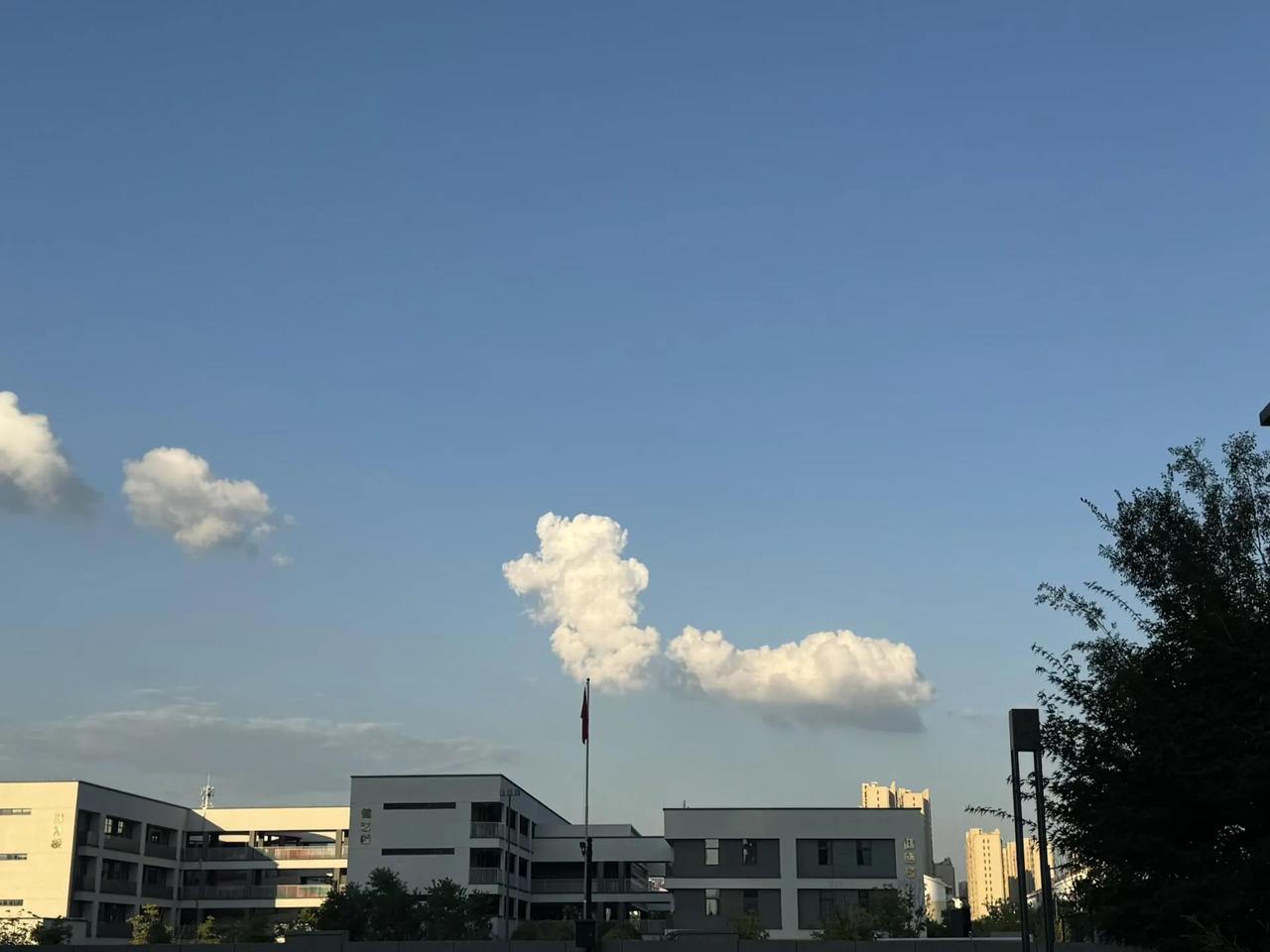 全职在家带娃，婆婆一直都是把养娃的钱转到我的手里，从上上个月开始转给我老公手里，