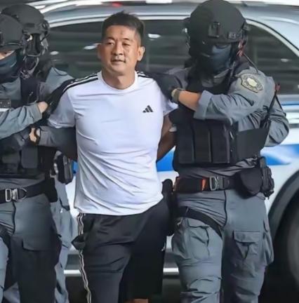 从泰国引渡佘智江着实不易，此人在泰国根基很深。中方苦等三年多，泰国接连换了3