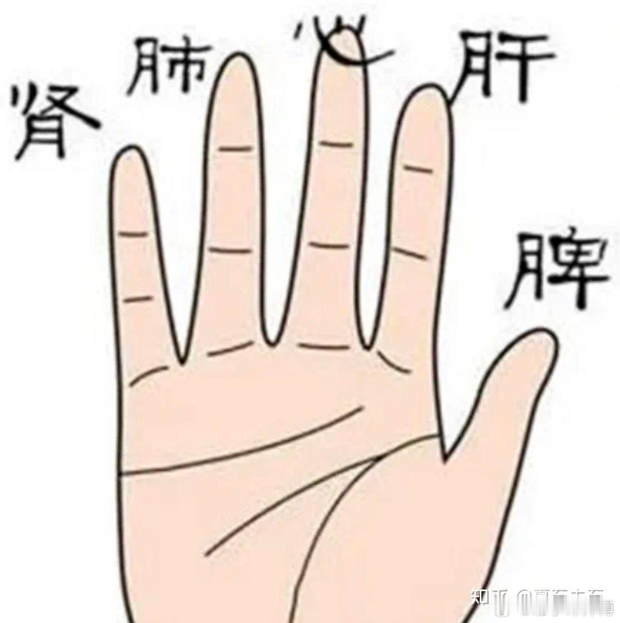 手相解析：中指代表了什么？1、长：中指比较长的人大都比较自信，遇事会比较理性，但