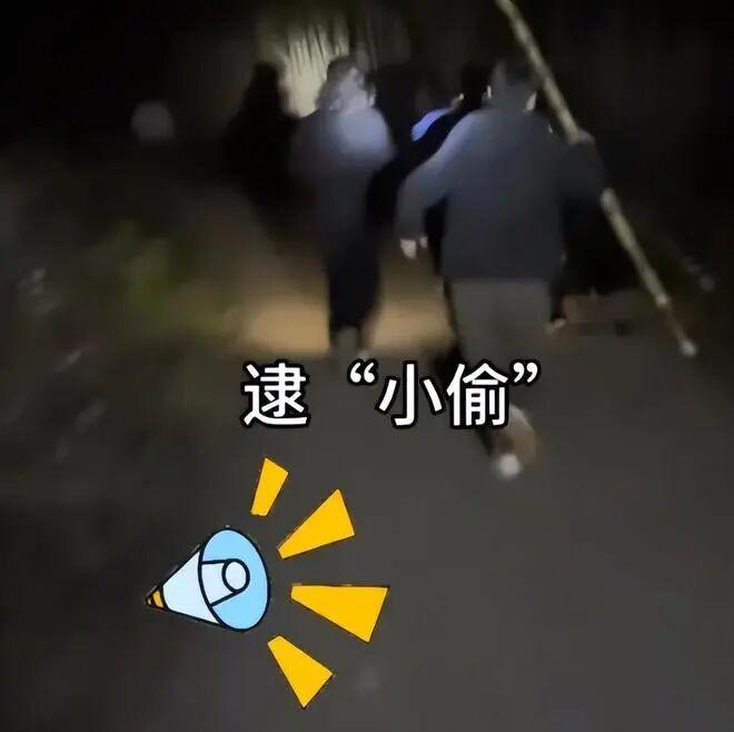 最近四川眉山的一片甘蔗地彻底火出圈了！老板搞了个“自助偷甘蔗”活动，直接把