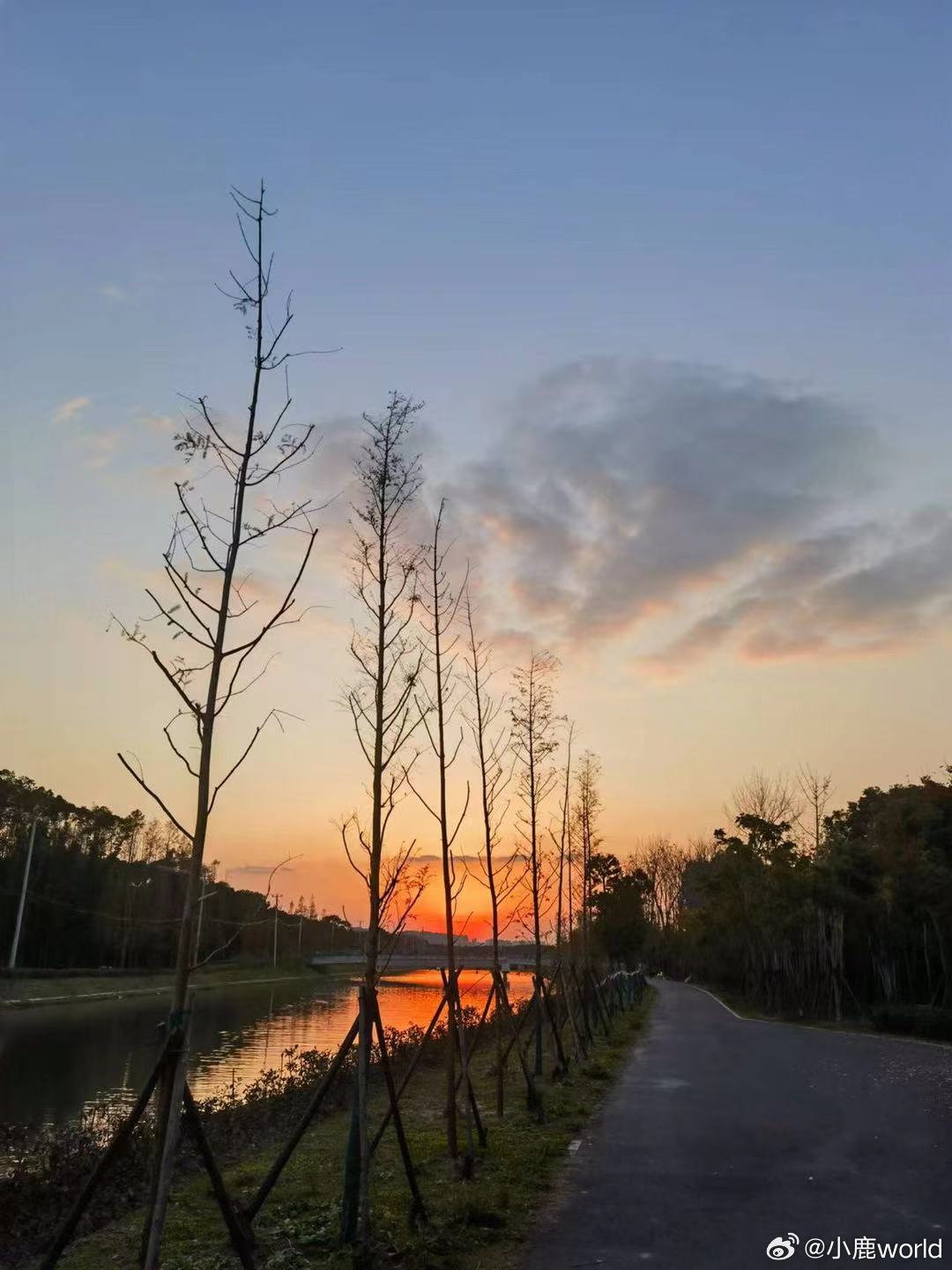 大脑只会优先处理当下的情绪和感受，所以改变大脑必须改变自己，真正有效的方法其实只