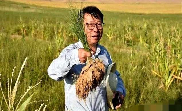 谁能想到，治沙这个烧了全球上万亿都没整明白的难题，居然被咱中国一位“跨界”教授，