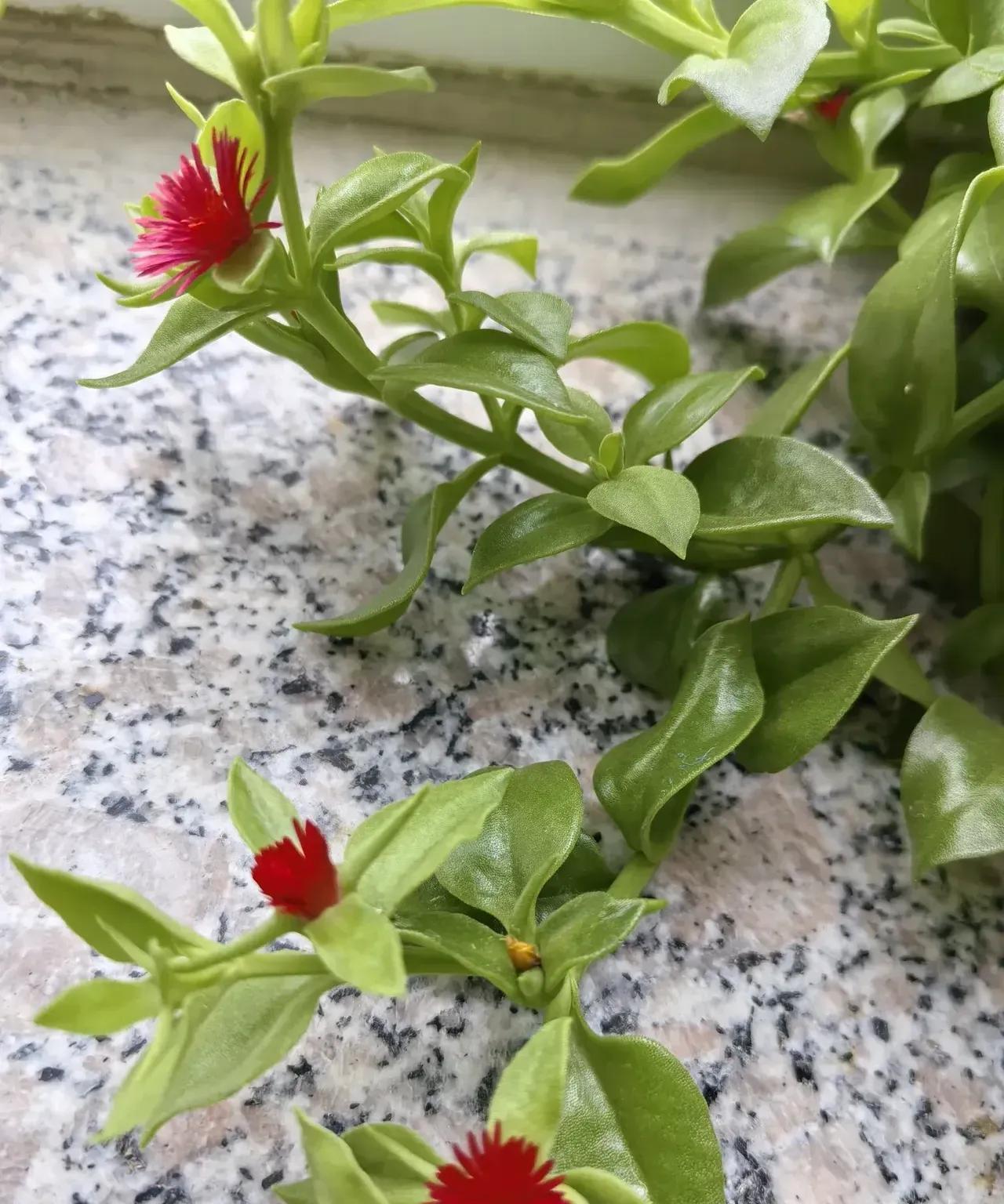 整治违规吃喝，别让烟火气凉了中央八项规定精神学习教育推进中，个别地方把整治违规