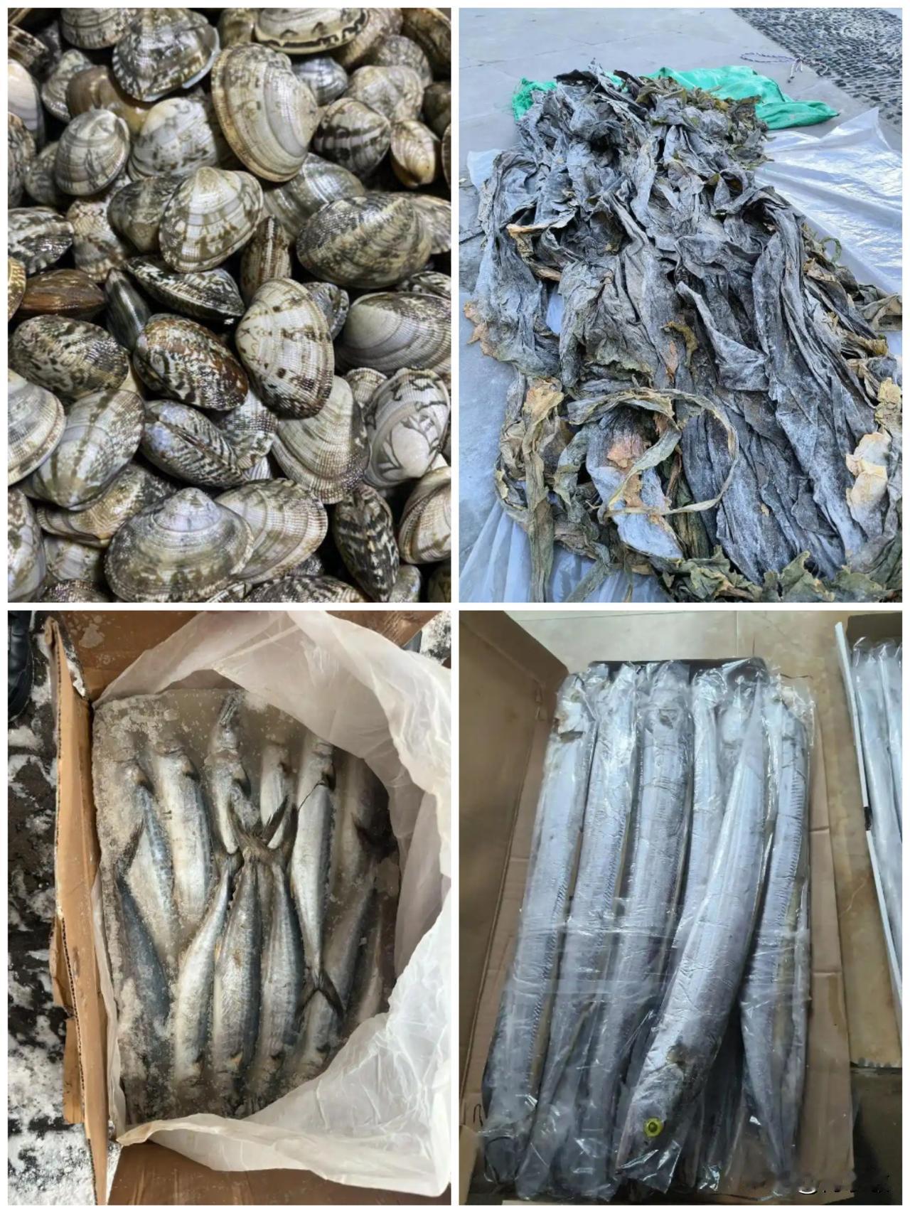 山东德州人经常吃的海鲜，鲅鱼、海带、花蛤、带鱼听说是来自山东的，经常会被