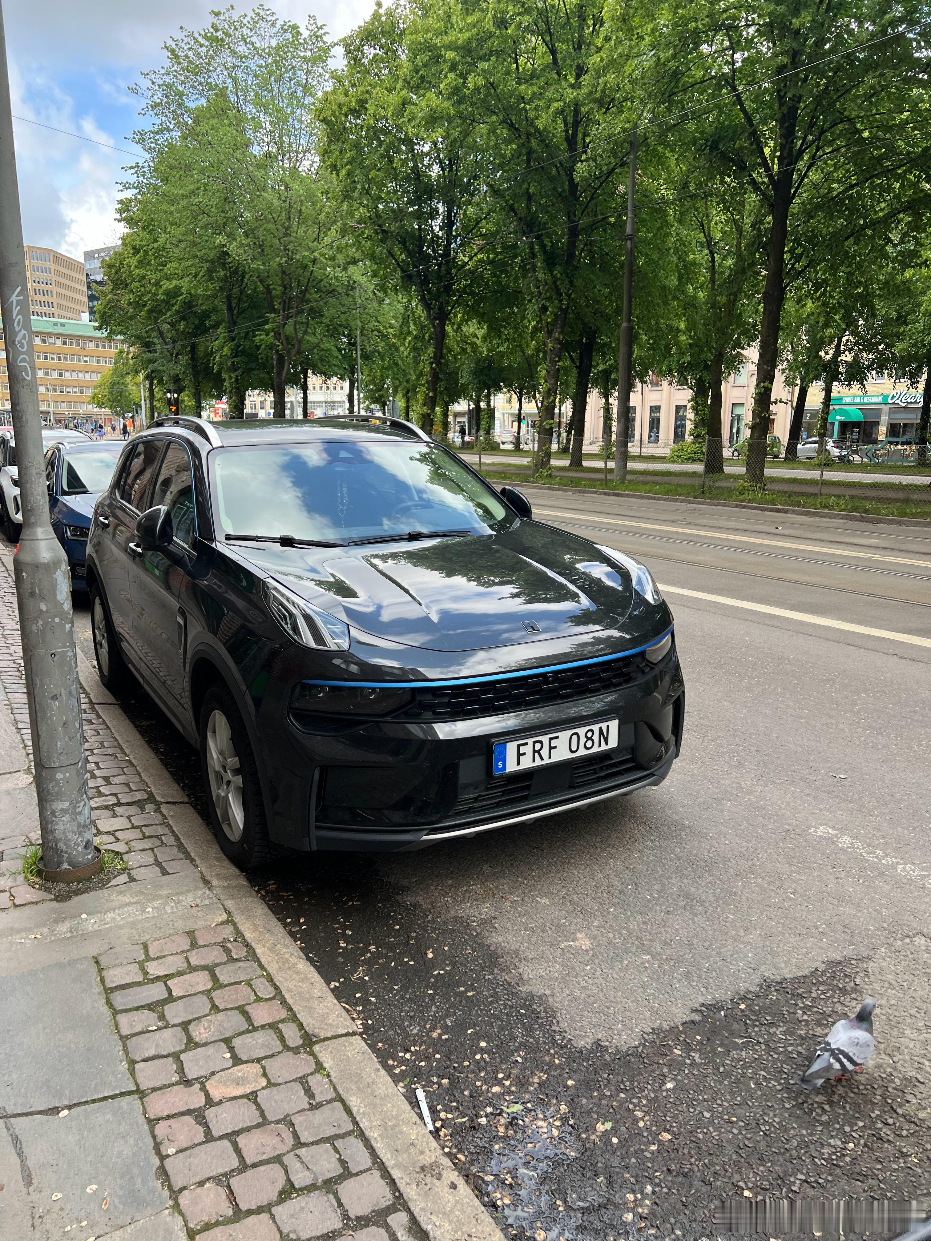 瑞典街头中国车！瑞典大v聊车​​​