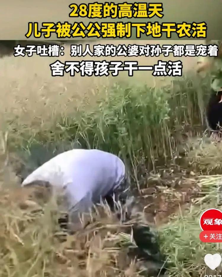 5月10日，湖北。一个儿媳控诉自己62岁的公公，在28度的高温天气里，执意要让1