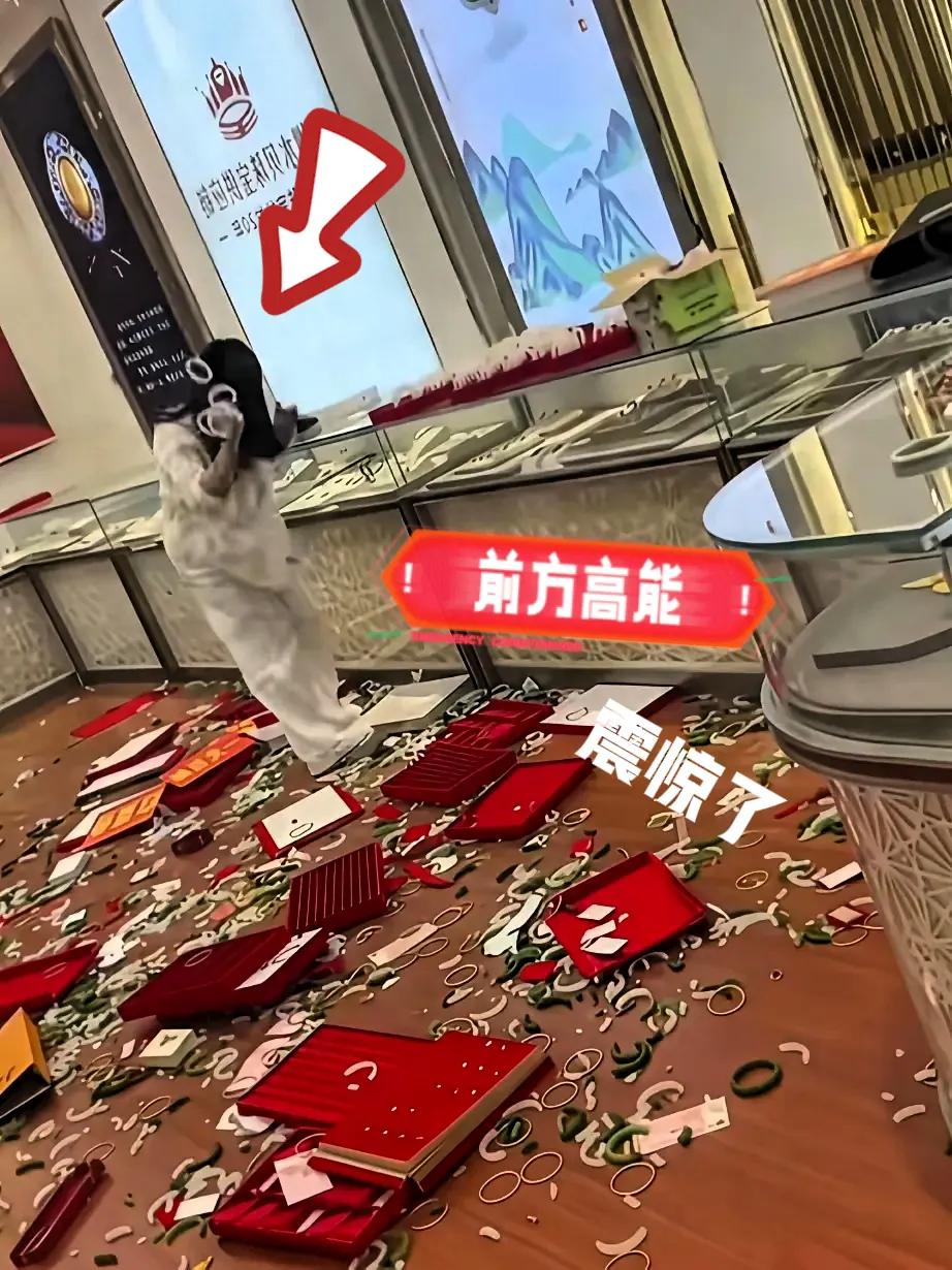 你们见过“小仙女”失控到把老板家底全砸了的场面吗？也不知道她到底碰到啥刺激，做出
