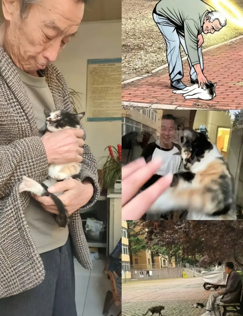 青岛大学，男性宿管，58岁，住在8平米的小平房内，屋内没有空调，仅有一故障吊扇和