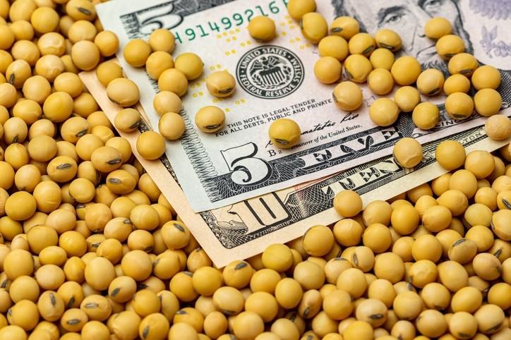 特朗普求锤得锤，130万吨大豆登上中国货轮，却没有一粒来自美国美国的豆农们这回