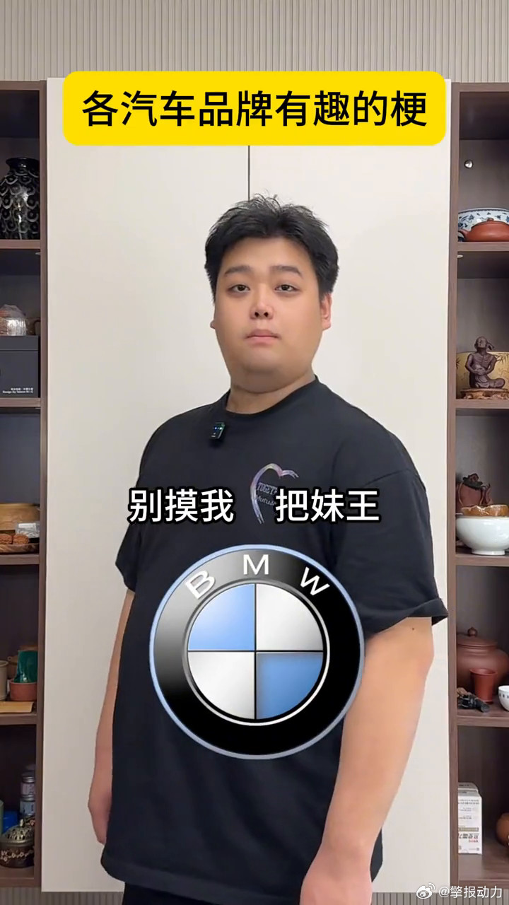 各汽车品牌有趣的梗。马路三大妈：轩逸、雷凌、卡罗拉。上坡不跟汉兰达，下坡不超凯美