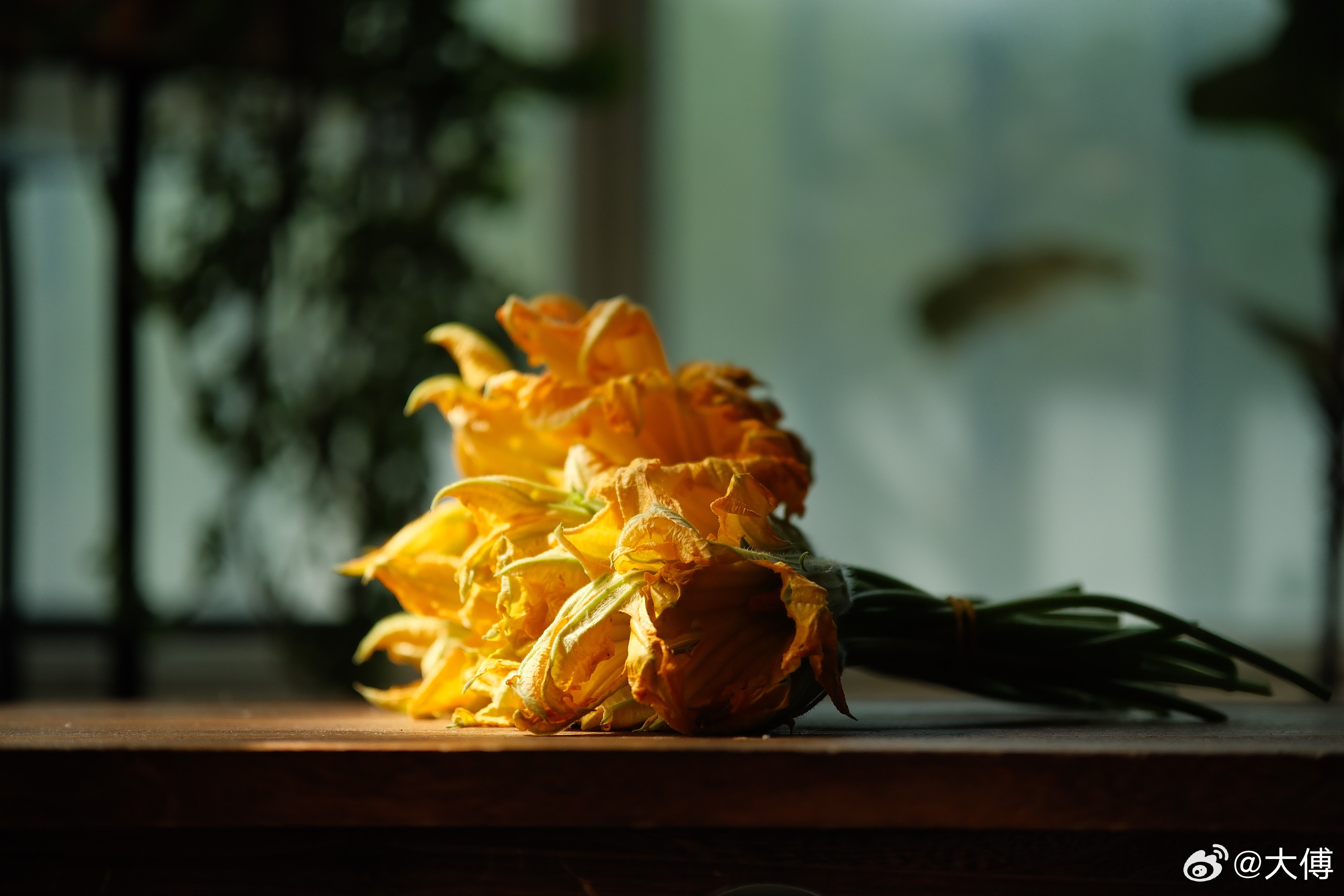 蛇与花