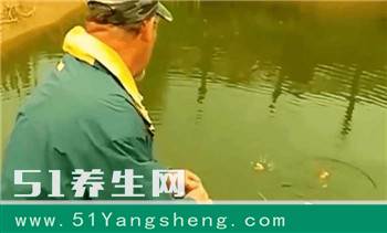 男子野外钓鱼发现一条鱼有些异样, 仔细一看选择将其放生