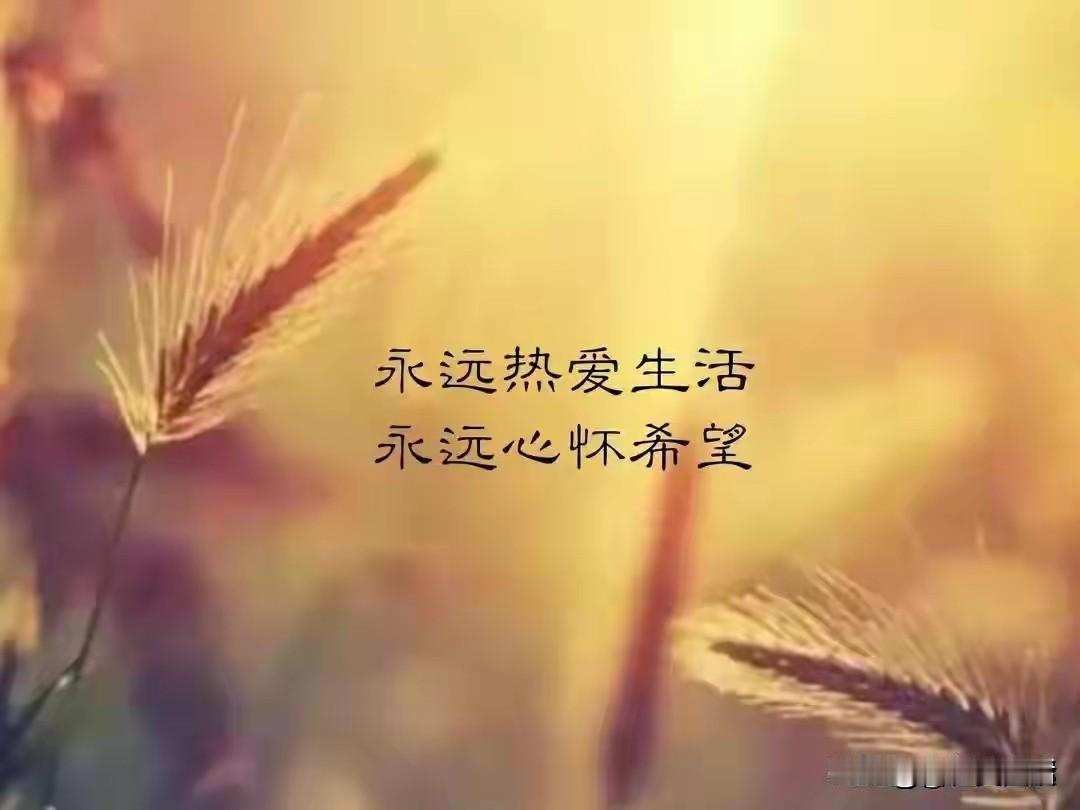 能够独居旅居旅游的人，究竟是怎样的人呢？曾经，我和朋友一同参团旅行，那种经历根