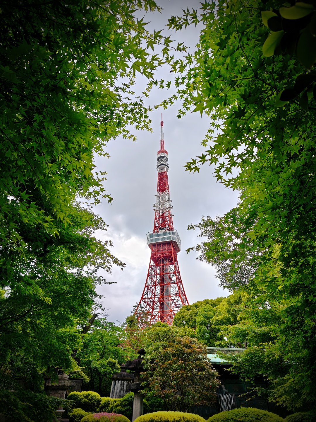 东京塔🗼远游记还是增上寺四菩萨这个机位最佳📸​​​