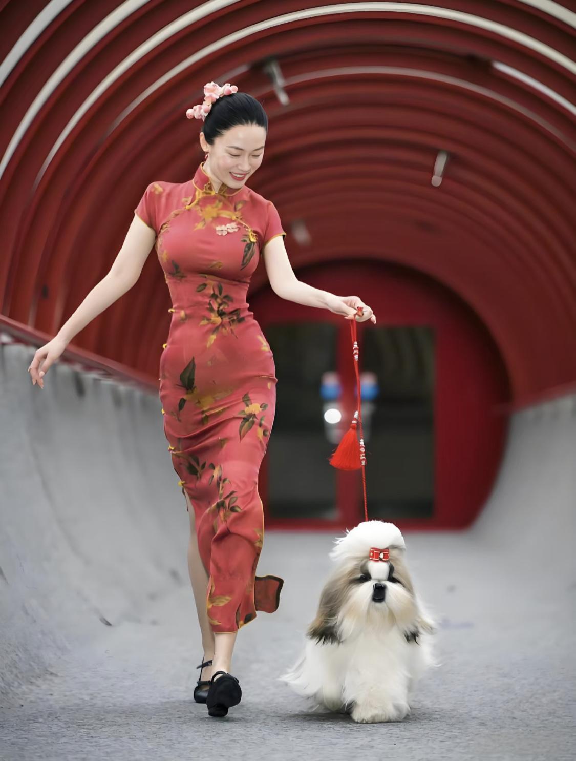 霍思燕沉浸于托举狗狗的世界中。最近，一家三口又现身于泰国公主杯犬展。与冠军狗和狗