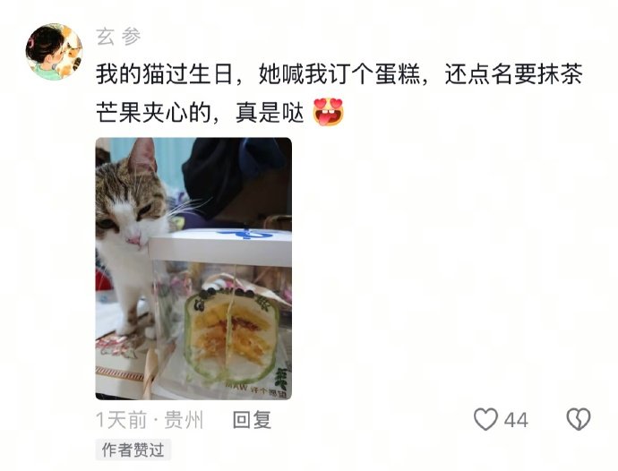 真的快被笑鼠了