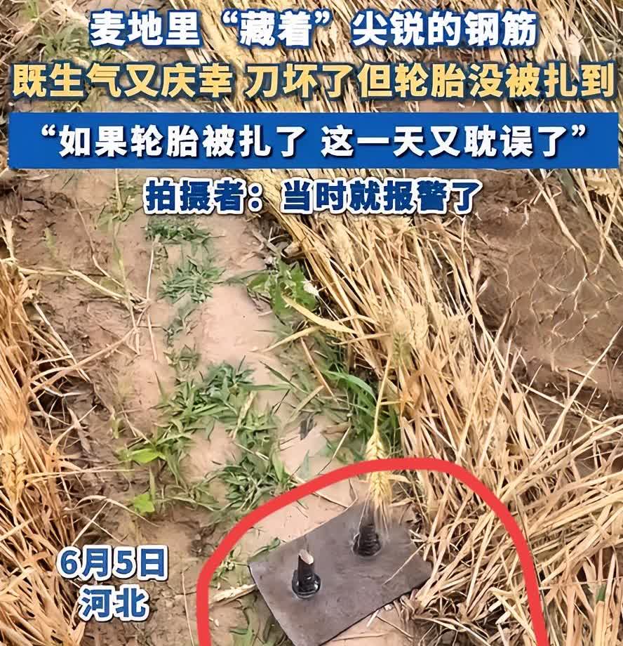 看完这个报道，你就知道罗翔曾经说过的那句话有多真实了！有报道称，2025