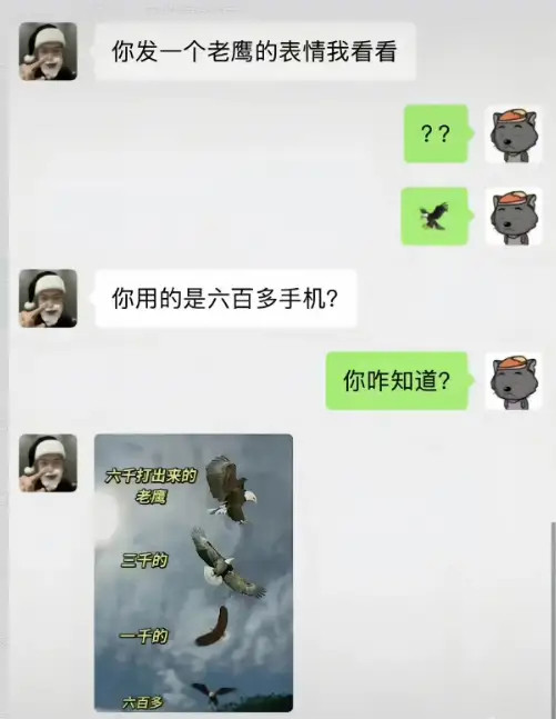 看看你们的~🦅