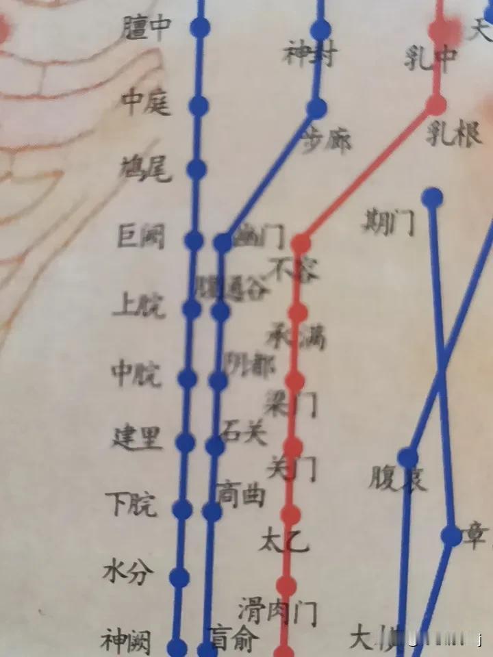 按揉下脘穴的方法，这个穴位就在肚脐上方2寸，大概三横指的位置，躺着用指腹慢慢按了