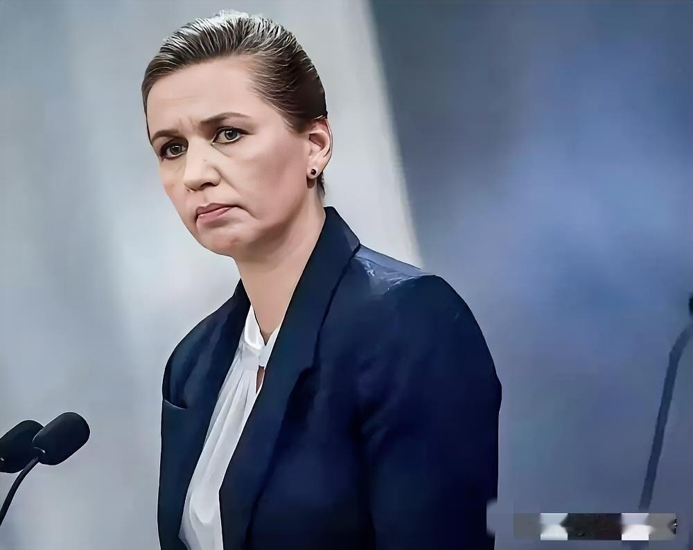 格陵兰岛上，法国兵到了，德国兵也到了。丹麦人现在可能才回过味儿，这哪是来帮忙的。