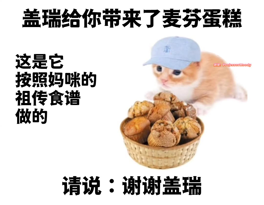 好久不见，盖瑞meme​​​