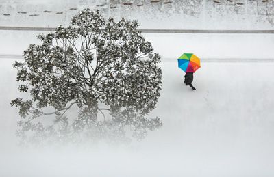 中东部多地降大到暴雪 专家释疑今冬北京初雪为何还不来