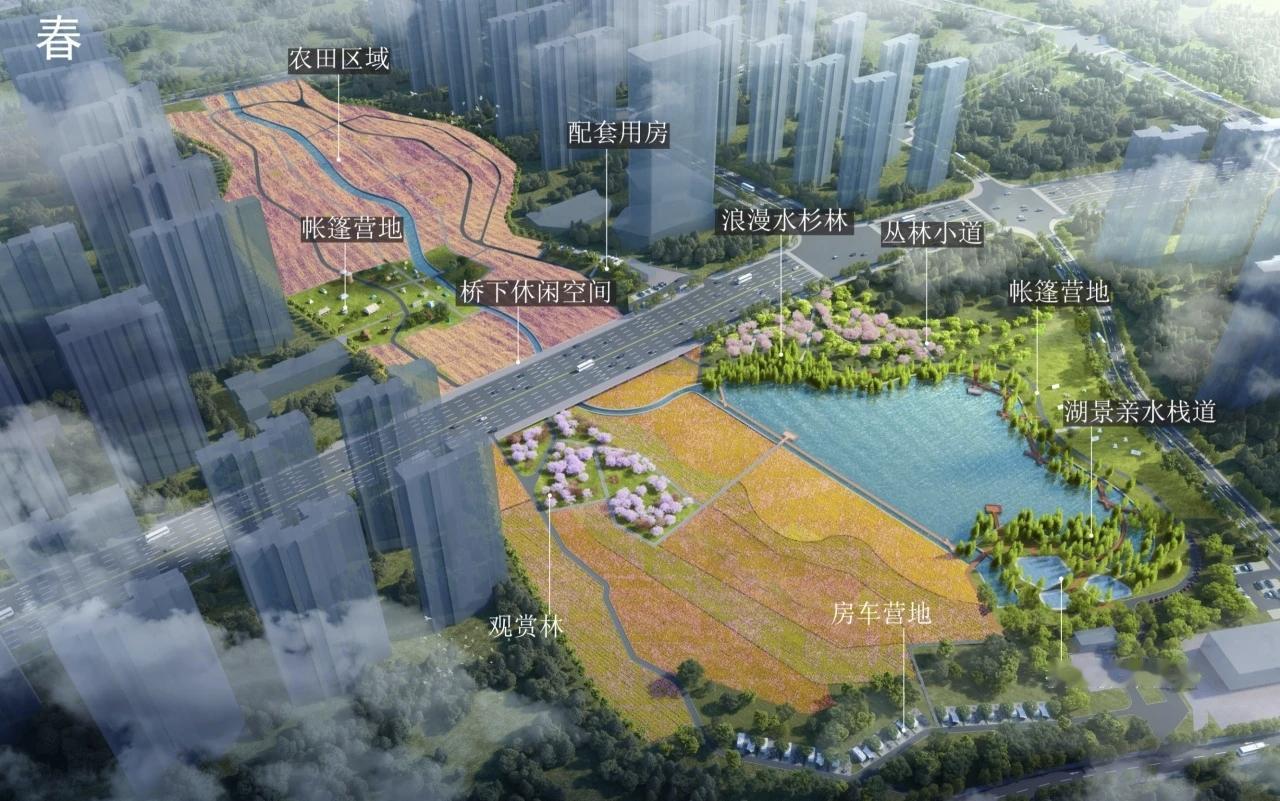 长沙市望城区滨水新城生态建设再迎重磅利好——备受关注的河东湘江风光带项目已发布施