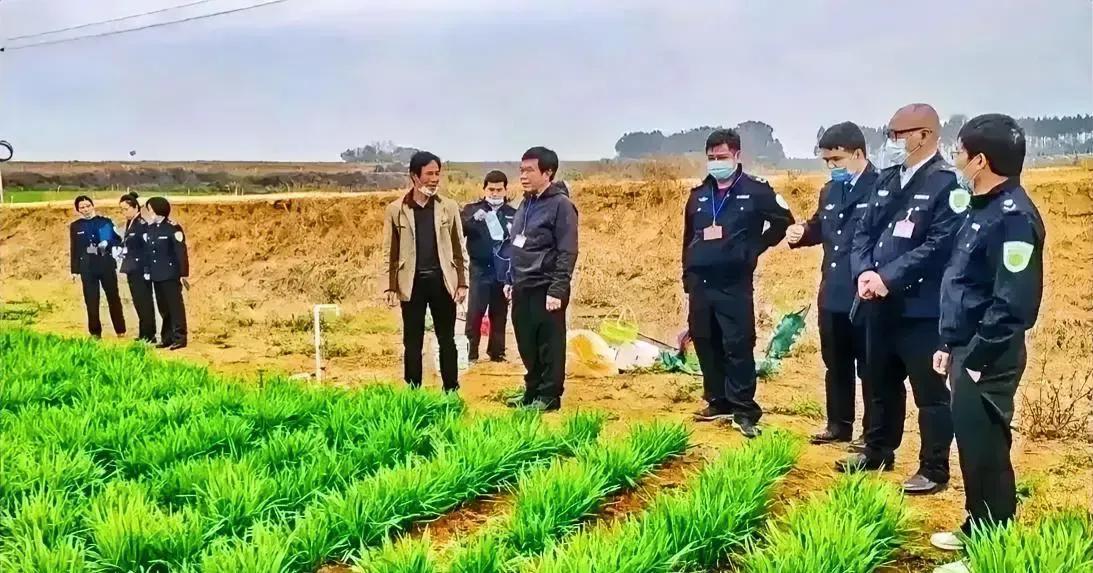 这是某地农管队下乡执法时的照片，他们一行人正在检查农田规划情况，当场提出了几个问