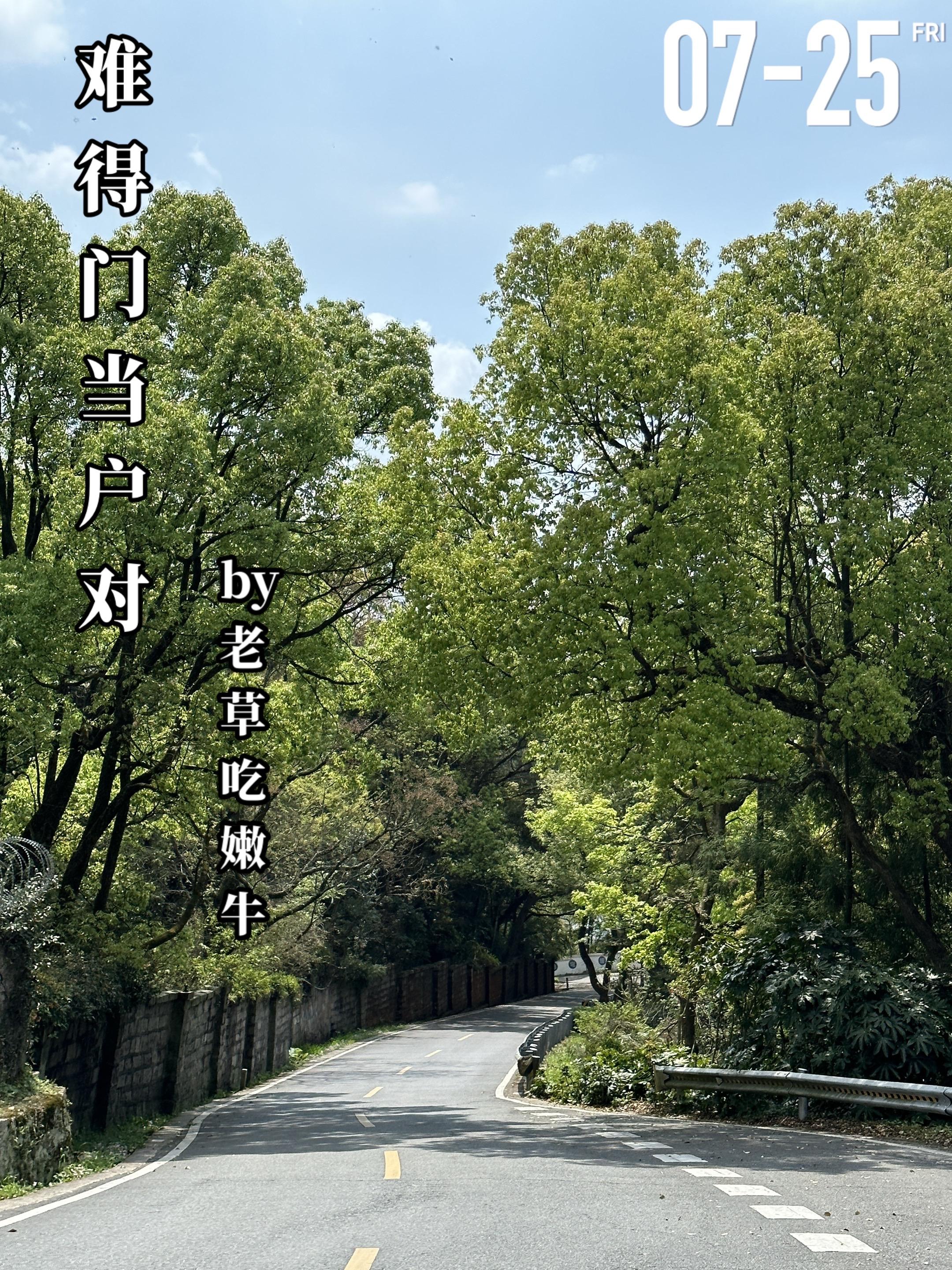 《难得门当户对》by老草吃嫩牛。何双双，一个大龄未婚女青年，常年被母亲...