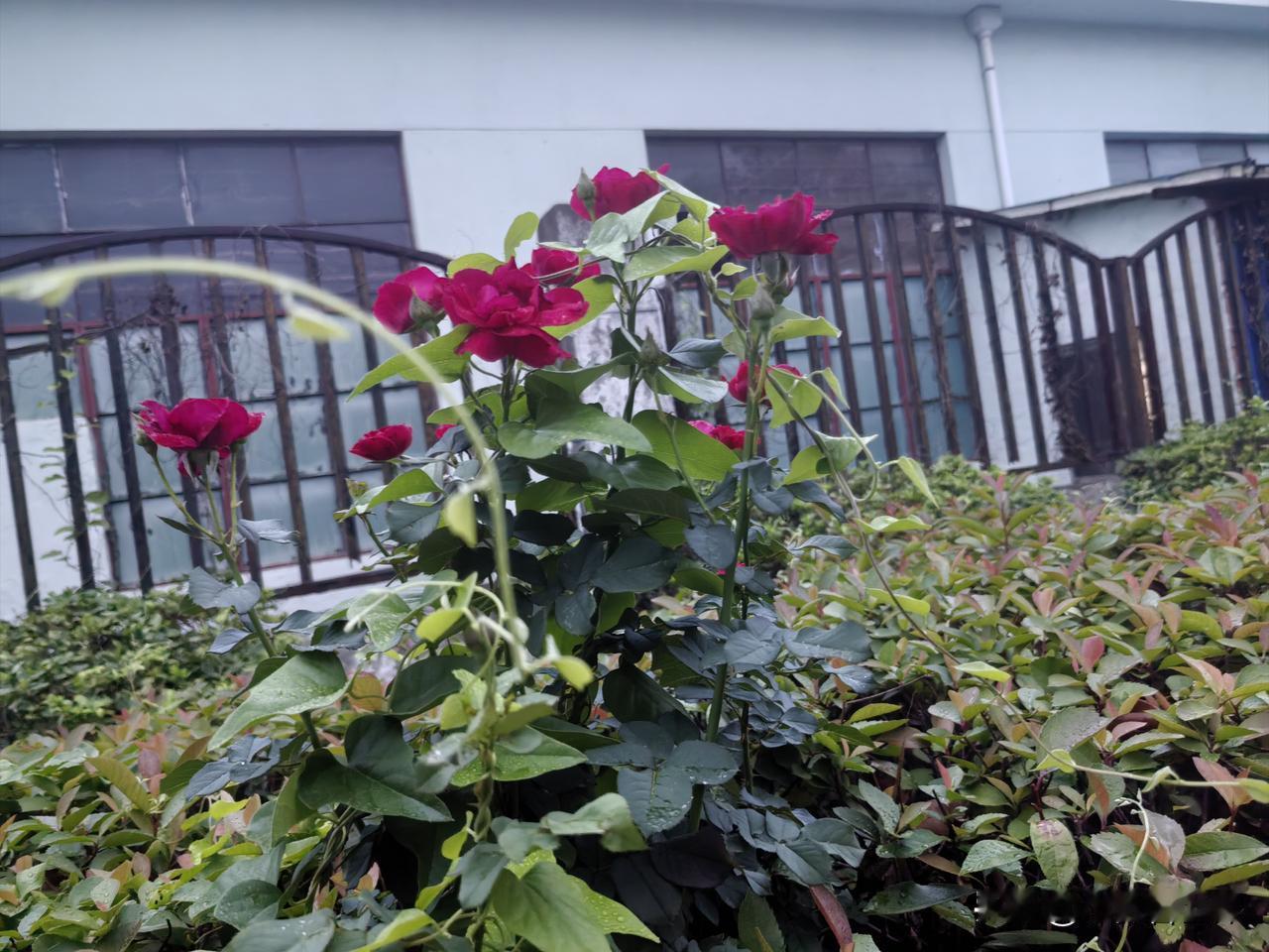和高中同学聚会，不知怎的有人说到了退休工资，因为我们这一桌在座的都是同学和同学家