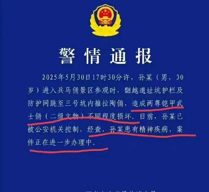经警方通报查实：翻越跳进跳兵马俑坑，故意推倒两尊兵俑，造成兵俑铠甲损坏的孙某患有