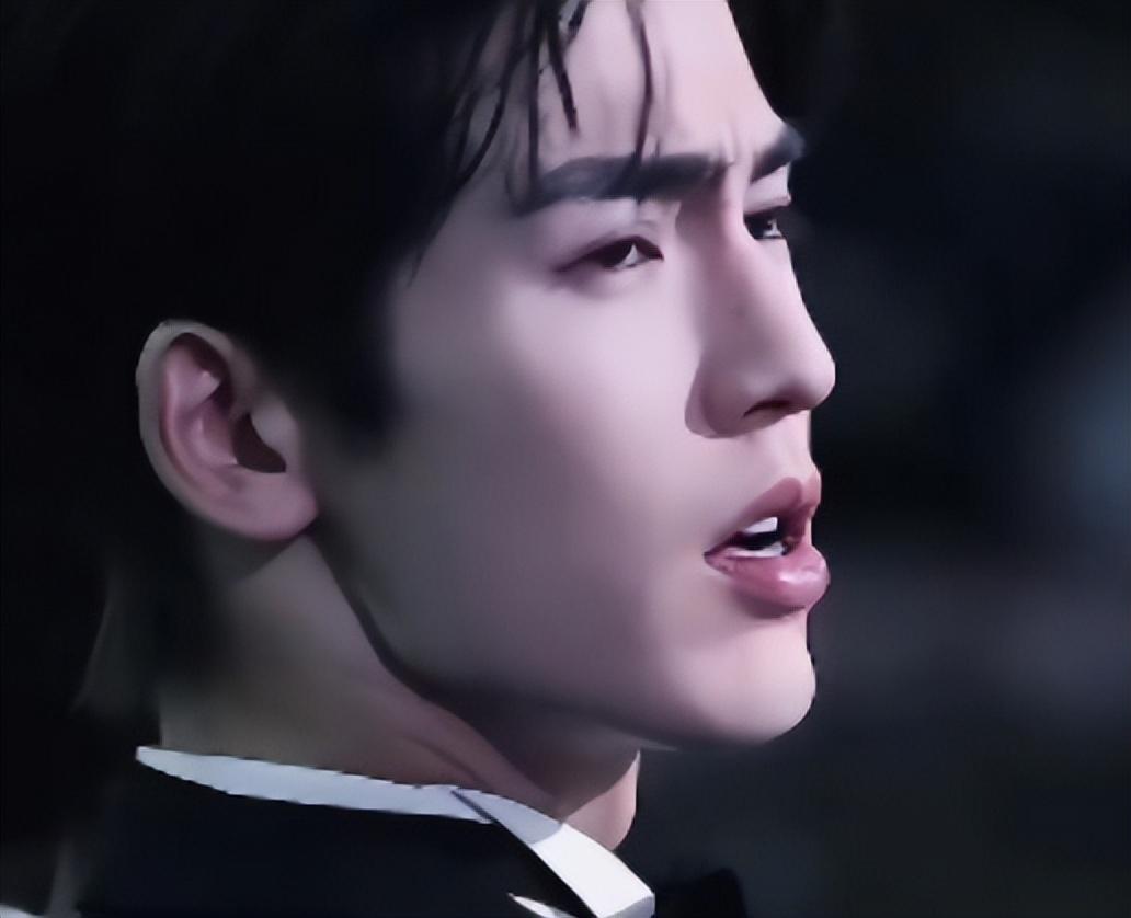 张凌赫，大胆向前走！不就说了句大实话么，东南亚这些跳梁小丑破防关我屁事啊。 