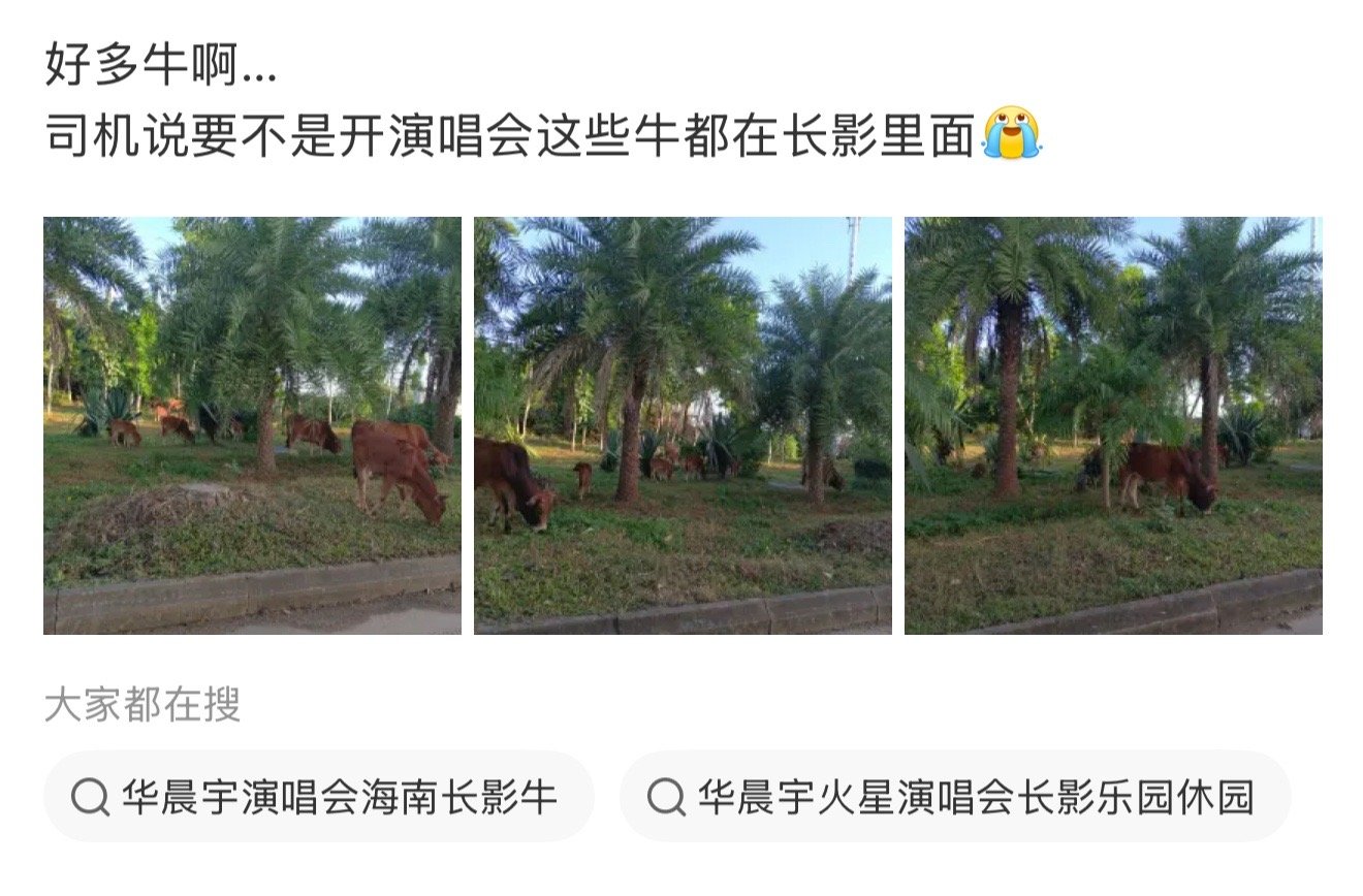 华晨宇演唱会黄牛被赶出来了笑死我了🤣本来这些牛都在长影里面的，华晨宇来开演唱