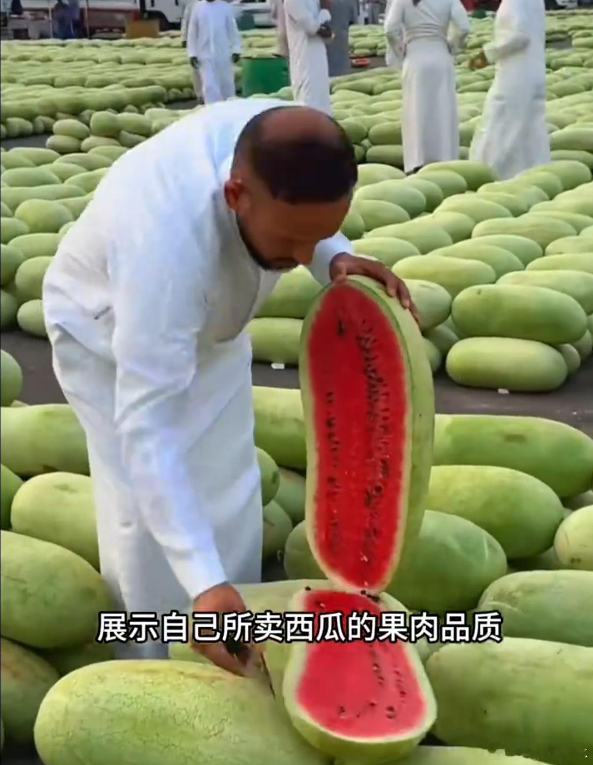 沙特巨型西瓜为何国内少见现在买西瓜基本都是选小西瓜或者是就买一半，一次就能吃完