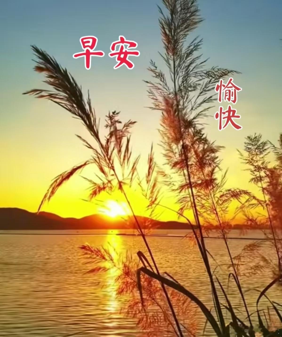 人生风景无数，谁能回头再度，珍惜当下每步，开心快乐一路，送上真诚祝福，平安健康永