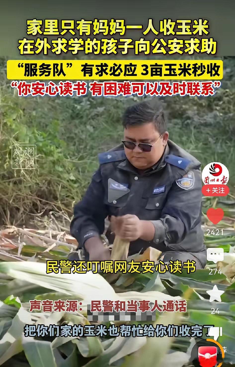 新疆一名在外求学的大学生给当地的民警留言说家里的三亩玉米没人收,只有老妈一个人在